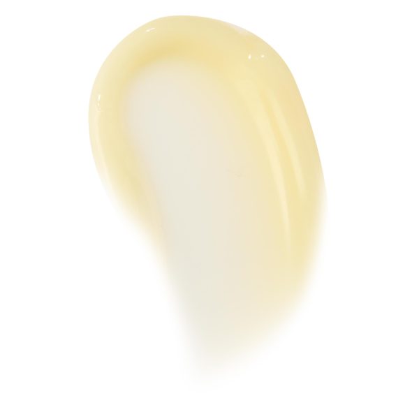Vanilla Cake - Image 7