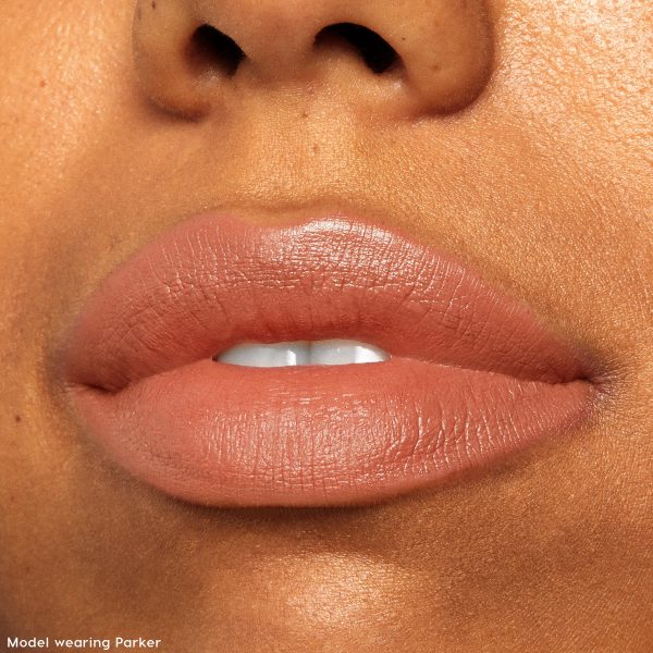 The Lil Box of Lippie Stix - Image 3