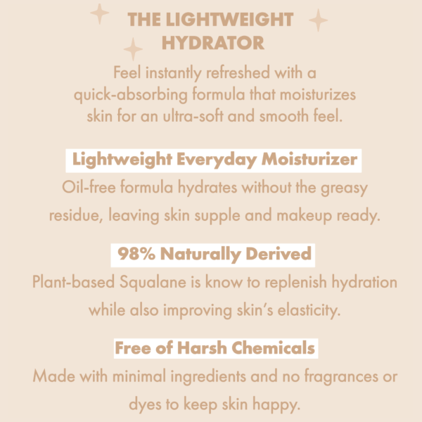 The Lightweight - Image 2